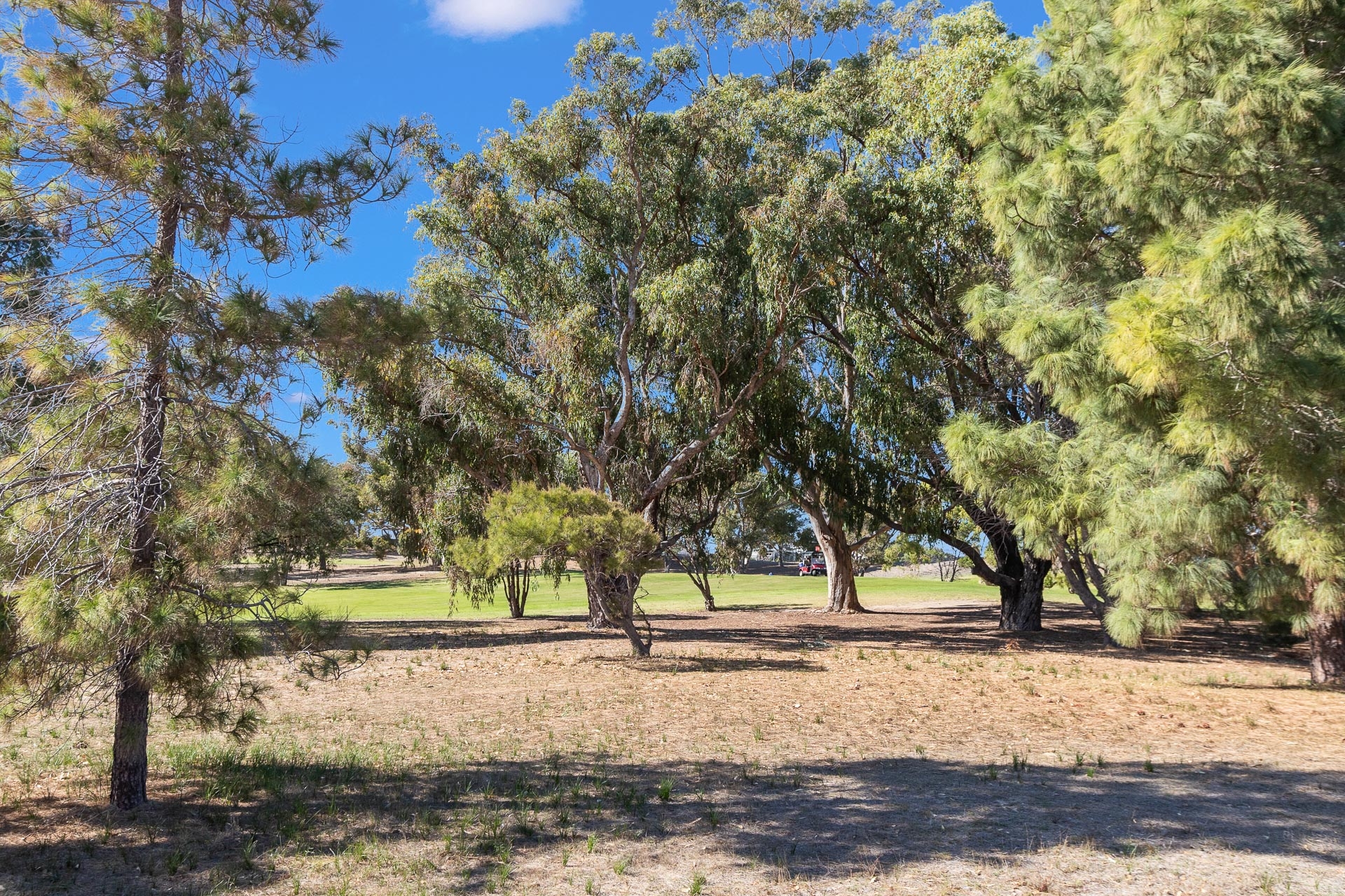 3 Cardross Street, Brabham WA 6055, Brabham - Thumbnail 5
