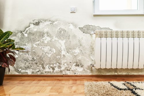 An image showing a room with a damaged wall next to a heating radiator. The wall has a large area of damp and flaking paint, indicating water damage or neglect. This visual represents the consequences of damage to rental property by tenant.