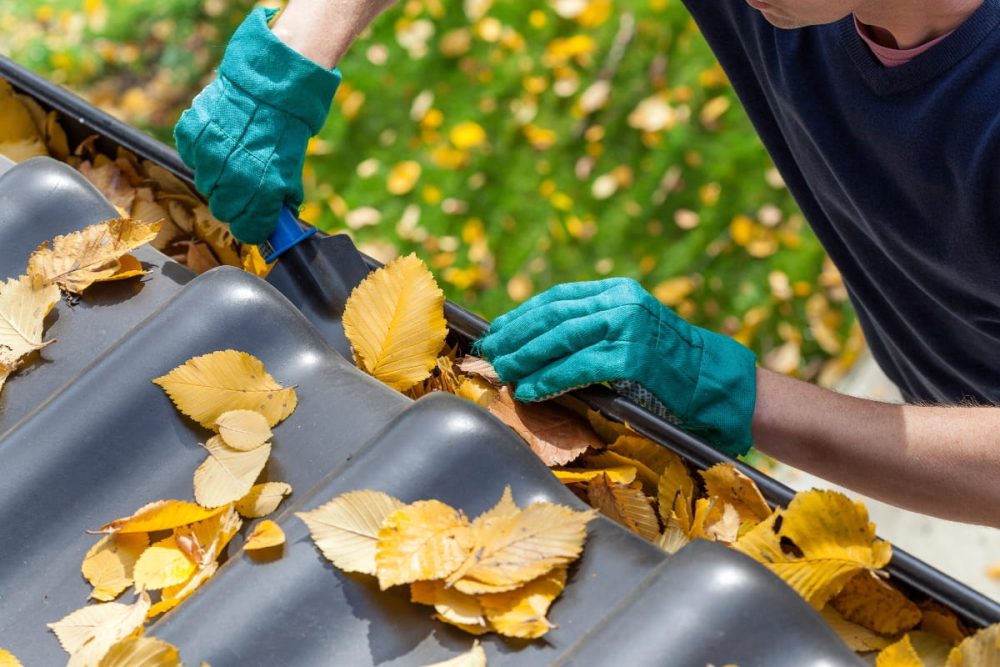 Close-up of gutter cleaning to prevent roof leaks and water damage at a rental home.