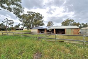 mydimport 1623838798 hires.14237 150EllenbrookaveBullsbrook34